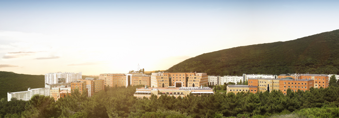 Yeditepe Üniversitesi